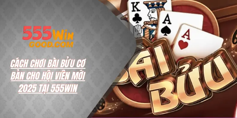 Những ưu đãi đặc quyền khi chơi tại 555win chính thức